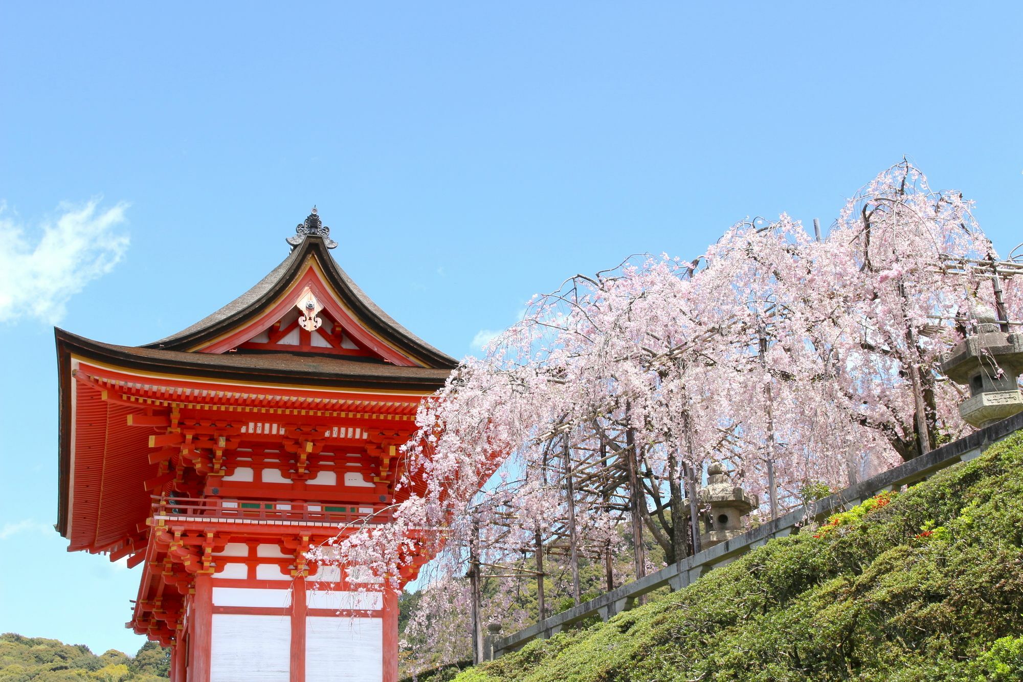 Stay Sakura Kyoto Nijo Seasons Eksteriør bilde