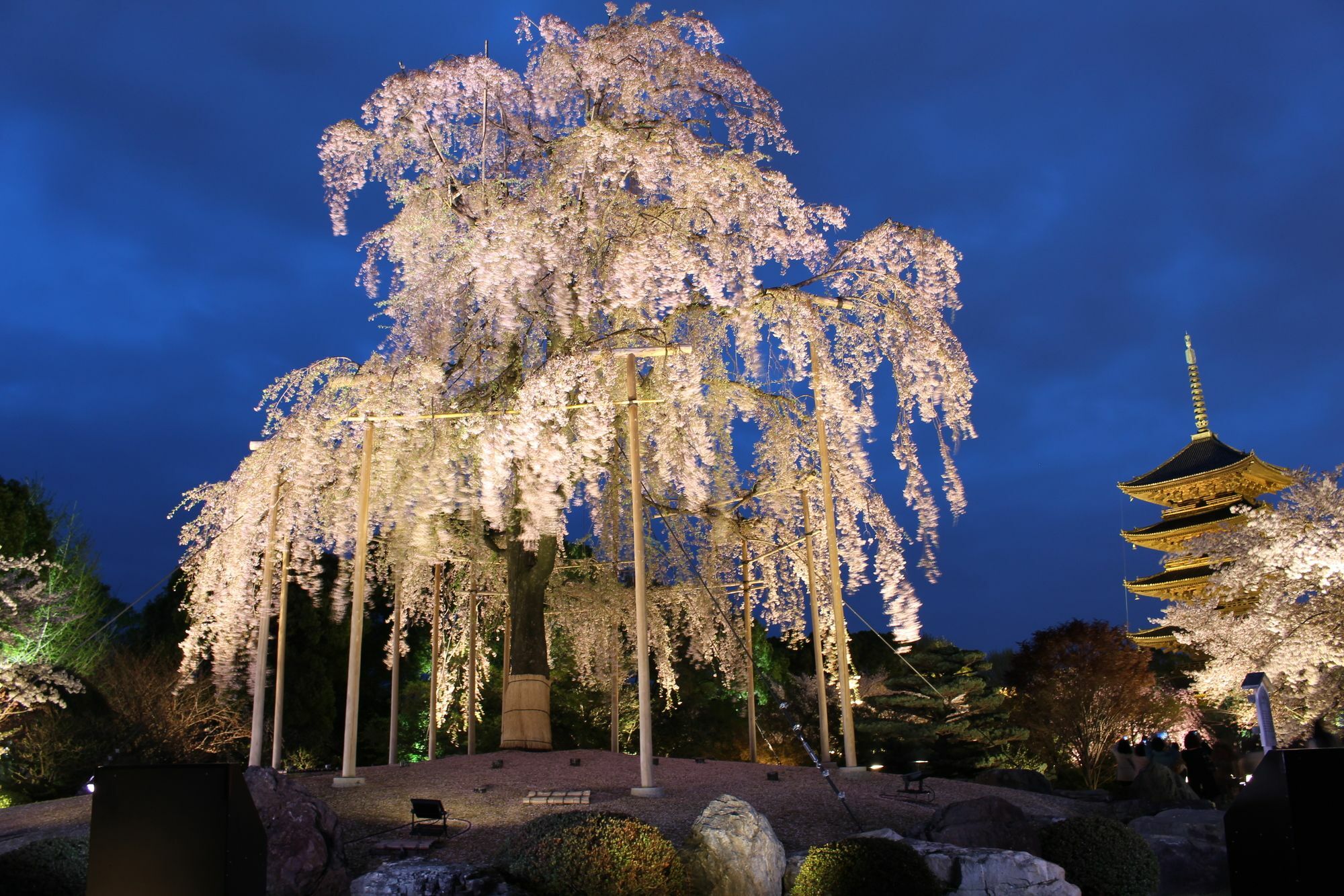 Stay Sakura Kyoto Nijo Seasons Eksteriør bilde